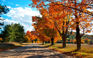 Autumn road trees leaves clouds - both side of it free wallpaper
