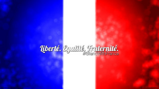 Liberty guilte france flag red - a photo free wallpaper