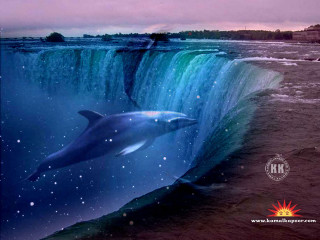 Dolphin swimming waterfall background manmade - a matte painting free wallpaper for desktop