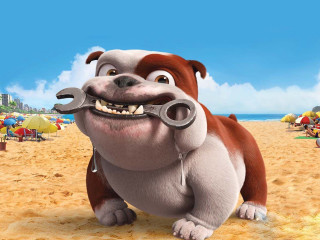 Dog wrenches beach people happy - its mouth free wallpaper
