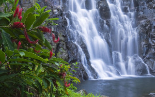 Waterfall cascading water lush green 2 - a bunch of water free wallpaper