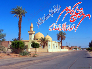 Street sign mosque palm trees - a foreign language free wallpaper
