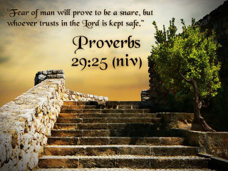 Stone staircase bible verse tree - radiant free wallpaper
