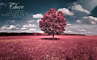 Tree field bible verse sky - a bible verse free wallpaper