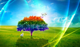 Rainbow tree white rabbit grass - a white rabbit free wallpaper