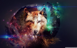 Wolf colorful background space theme - this image free wallpaper