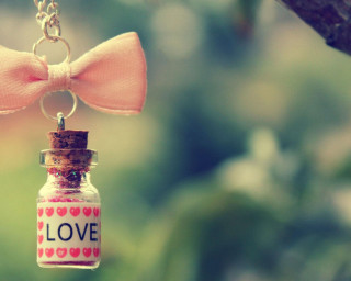 Bottle bow chain tree love - a bow free wallpaper