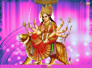Woman riding tiger pink purple - a painting of a woman riding free wallpaper