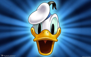 Cartoon duck hat blue background 3 - donald roller wilson free wallpaper