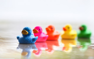 Rubber ducks table reflective surface - a reflective surface free wallpaper