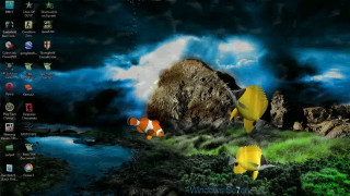 Computer screen fish rock clouds 2 - lostfish free wallpaper