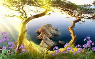 Tree water purple flowers plants - beautiful landscape free wallpaper