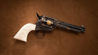 Gun white handle gold emblem - earnst haeckel free wallpaper