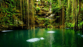 Waterfall pool trees background waterfall - a pool of water free wallpaper for desktop