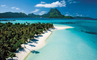 Beach boat palm trees water - the water and palm trees free wallpaper