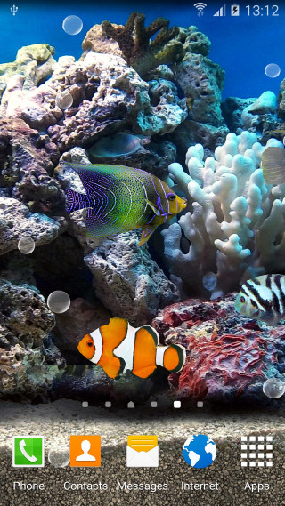 Coral reef fish digital underwater - a fish free wallpaper