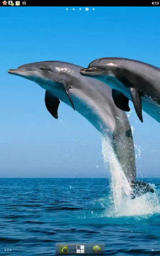 Dolphins jumping ocean blue sky 17 - the ocean free wallpaper