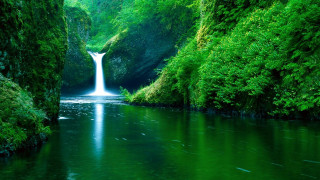 Waterfall green forest stream nature 7 - a green forest free wallpaper