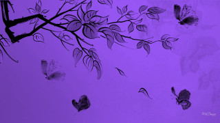 Purple background butterflies tree branch - a tree branch free wallpaper