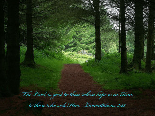 Path in woods bible verse - us free wallpaper