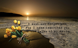 Flowers beach ocean quote sandy 2 - sandy free wallpaper