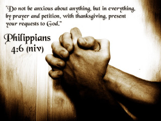 Person holding hand bible verse - a bible verse below free wallpaper
