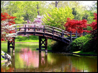 Bridge pond boat trees red - a small boat free wallpaper