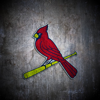 Red bird baseball bat cave - a wall free wallpaper