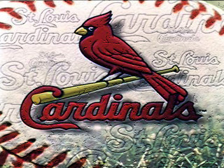 Baseball cardinal bat closeup field - bird free wallpaper for desktop