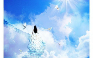Woman sitting stair sky birds - a stairway free wallpaper