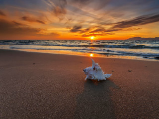 Shell beach sunset sun clouds - a shell free wallpaper