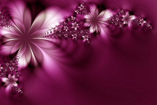 Purple background flowers side white 3 - the top free wallpaper