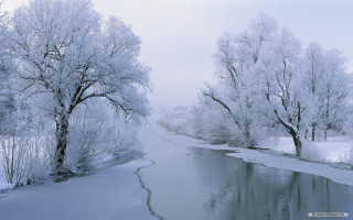 River trees snow ice branches - branch free wallpaper