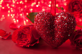 Red heart decoration roses background - a red rose free wallpaper