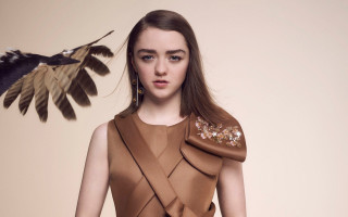 Woman bird flying shoulder dress - a brown dress free wallpaper