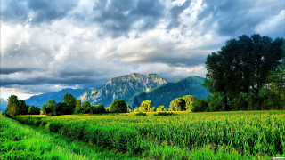 Field mountain clouds path sky - a path free wallpaper