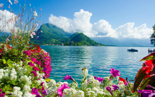 Boat lake flowers mountain blue - impressionist free wallpaper