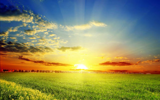 Field bright sun clouds sky - a bright sun in the background free wallpaper