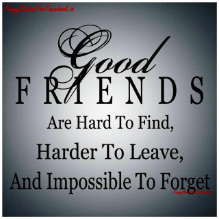 Famous movie quote friends love - incoherent free wallpaper