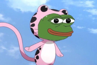 Cartoon frog pink hat polka - eiichiro oda free wallpaper