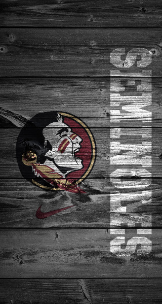 Wooden wall florida logo football - 4 k wallpaper free wallpaper
