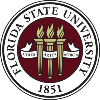 Florida state university seal flames - a mosaic free wallpaper