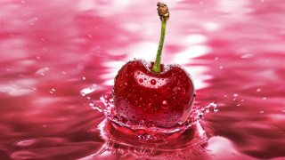 Cherry stem water splash pink - a stem free wallpaper