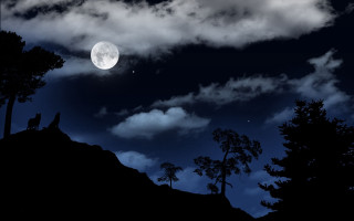 Wolf hill night moon clouds - the moon in the background free wallpaper
