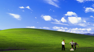 Two people walking field horse - a leash free wallpaper