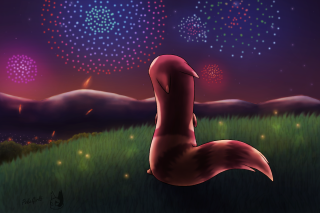 Red bird field fireworks hill - firework free wallpaper