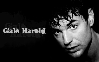 Man shirt staring camera black - brad holland free wallpaper