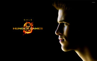 Hunger games holography parody cedric - a ring free wallpaper