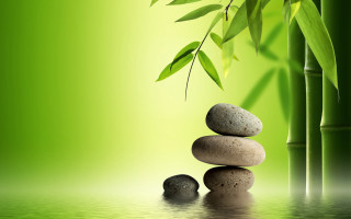 Bamboo rocks leaves green water - a bamboo tree free wallpaper