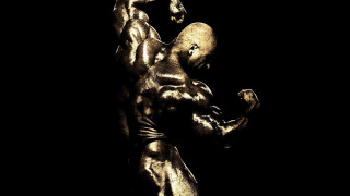 Bodybuilder anthony palumbo gold sculpture - anthony palumbo free wallpaper